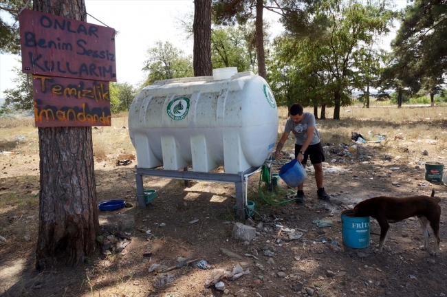 Hayvanseverler sokak hayvanlarına atık malzemelerden yuva yapıyor